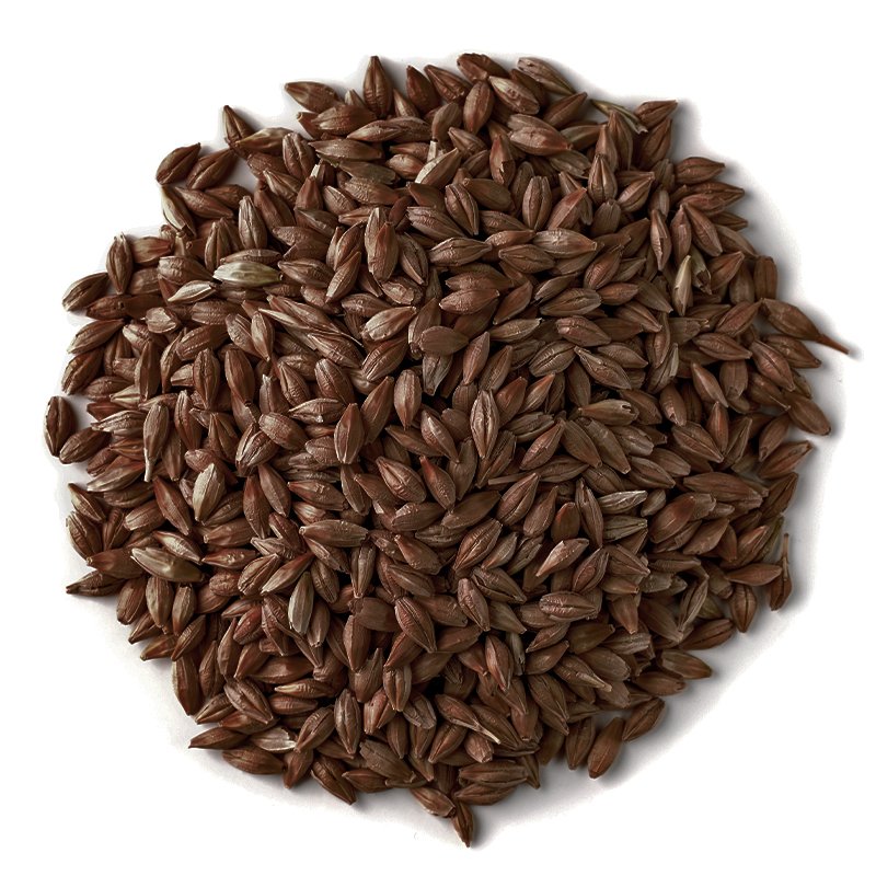 Produkt - Slad Roasted Barley (Slad pražený ječný)